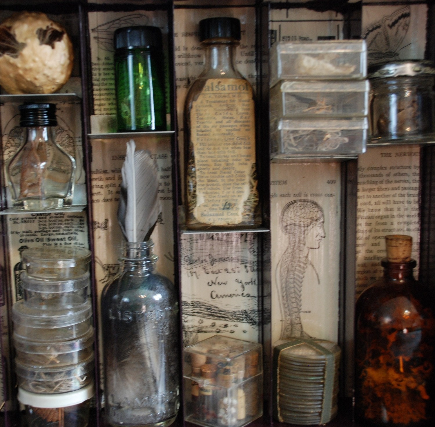 Apothecary Mixed Media Shadowbox Assemblage Complimentary Shipping