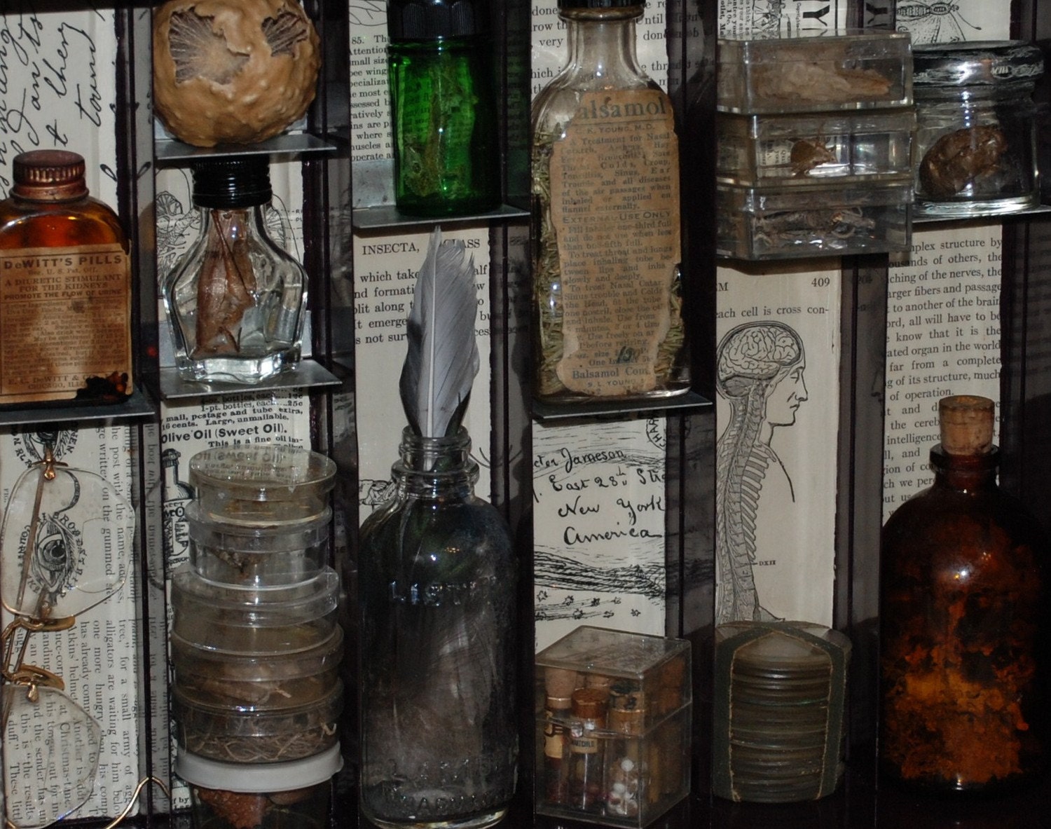 Apothecary Mixed Media Shadowbox Assemblage Complimentary Shipping