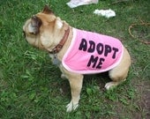 Dog Adopt Me Vest Small Pink with Pink & White Trim