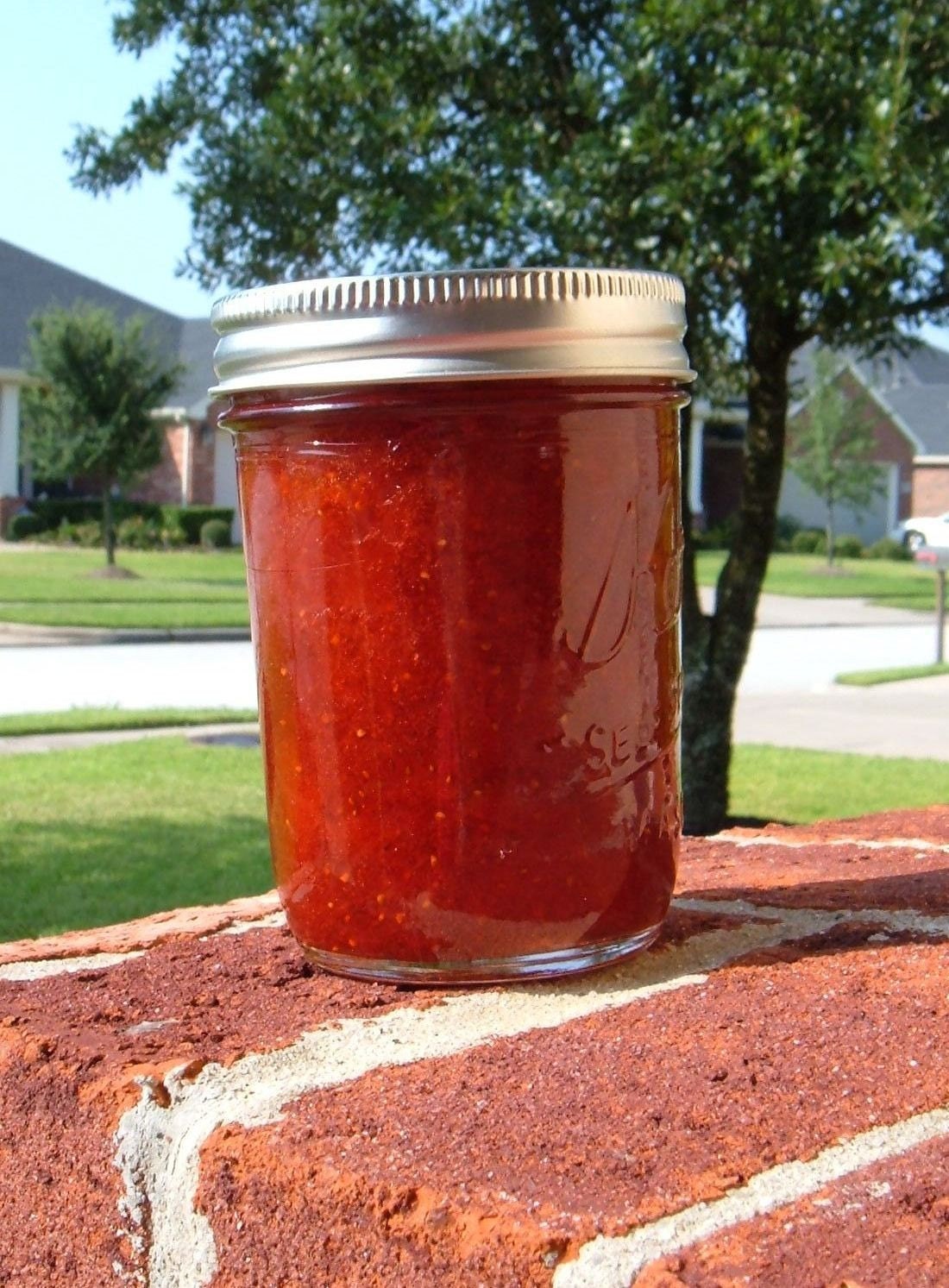 Shannonberry Strawberry Jam - 8 oz.