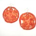 Tomato Earrings - Real Fruit Jewelry