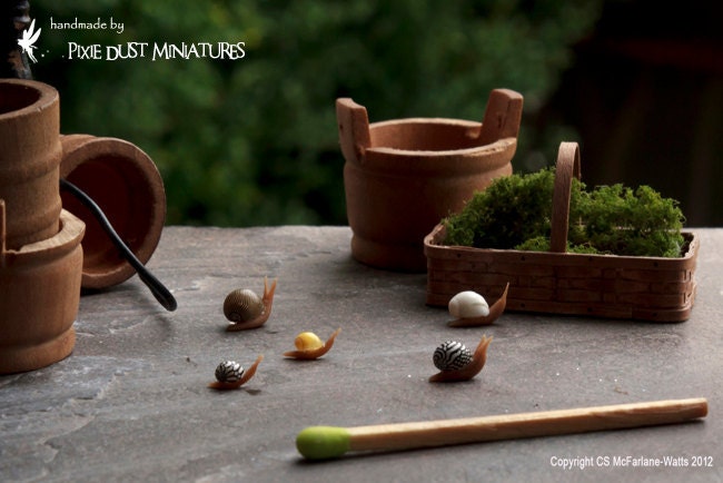 Brown Garden Snail - GARDEN RANGE
