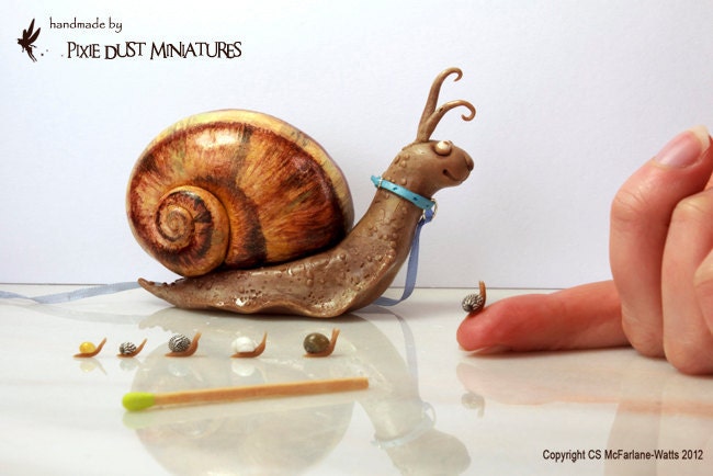 Brown Garden Snail - GARDEN RANGE