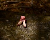 Fairytale Photograph, Flower Fairy Photo, Nature Photography, Waldorf Decor, Rustic Home, Wood Grain, Woodland, Fantasy, Chocolate Brown