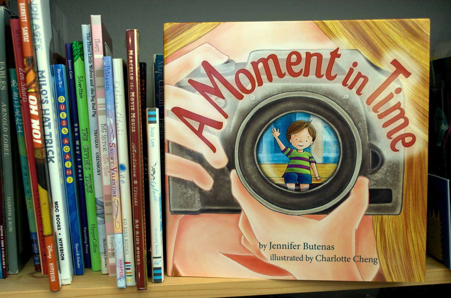 A Moment in Time -- Picture Book