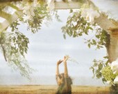 Celebrate Life  A Signed Fine Art Photograph