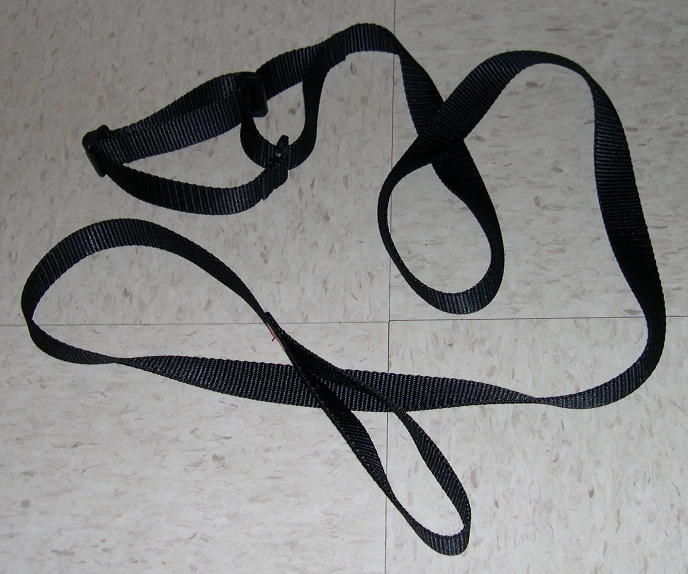 All-in-one 5 foot Martingale/Leash Combo