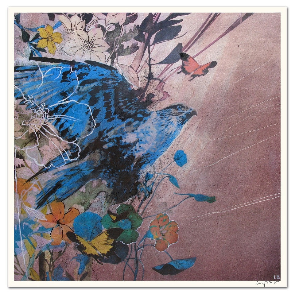 BUTEO REGALIS- Fine art print - 17 x 17" - Signed by the artist