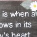 Adoption the heart of a mom