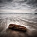 Ocean Beach Wave Log Photograph 8x10