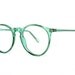Green transparent Round Vintage Eyeglasses