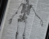 Upcycled Dictionary Art Book Print of Happy Skeleton Print on Vintage Dictionary Book Page 8 X 10
