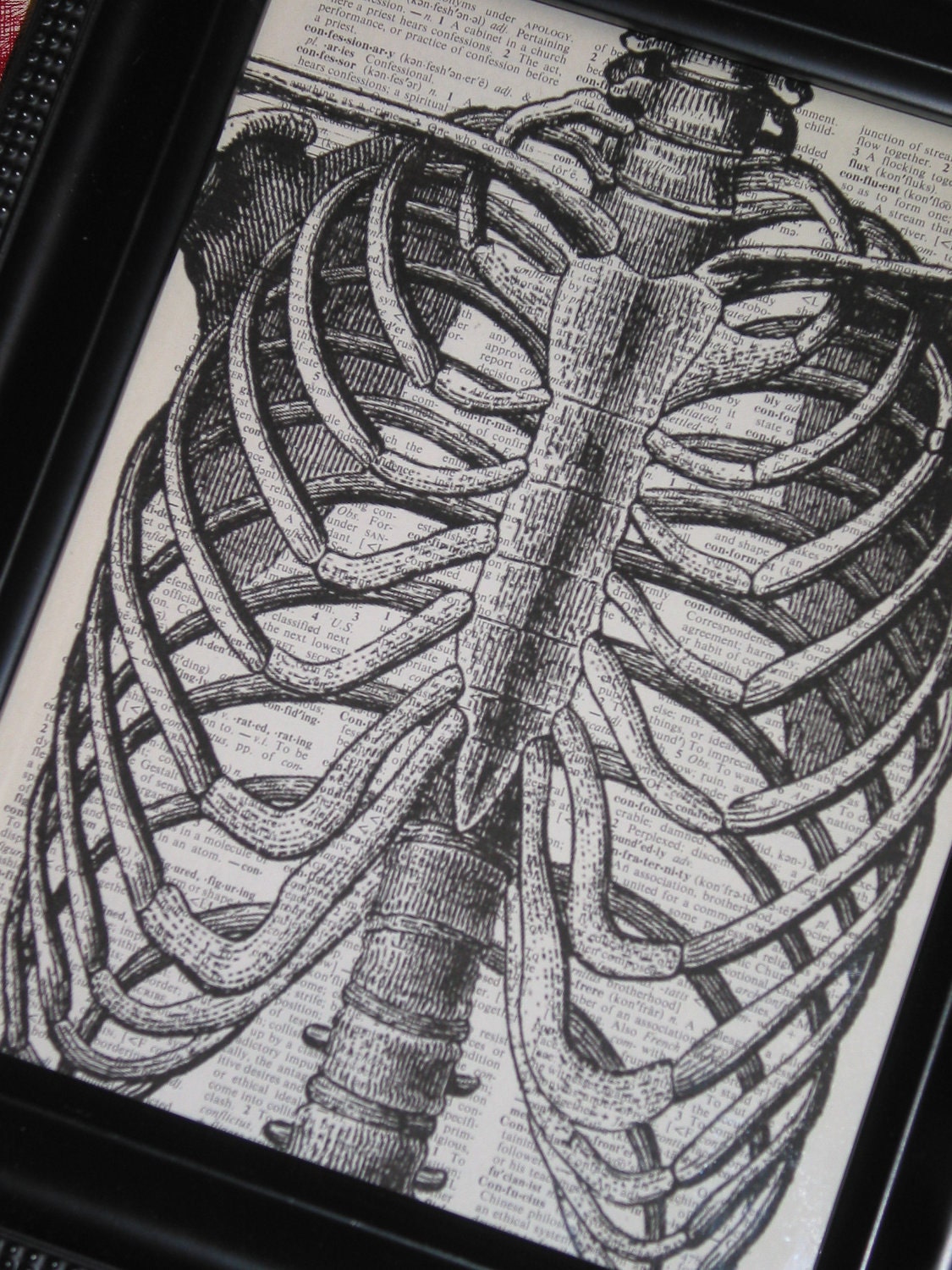 Rib Cage Anatomy Bones Image on Vintage Dictionary Page Dictionary Print 8 x 10 Upcycle