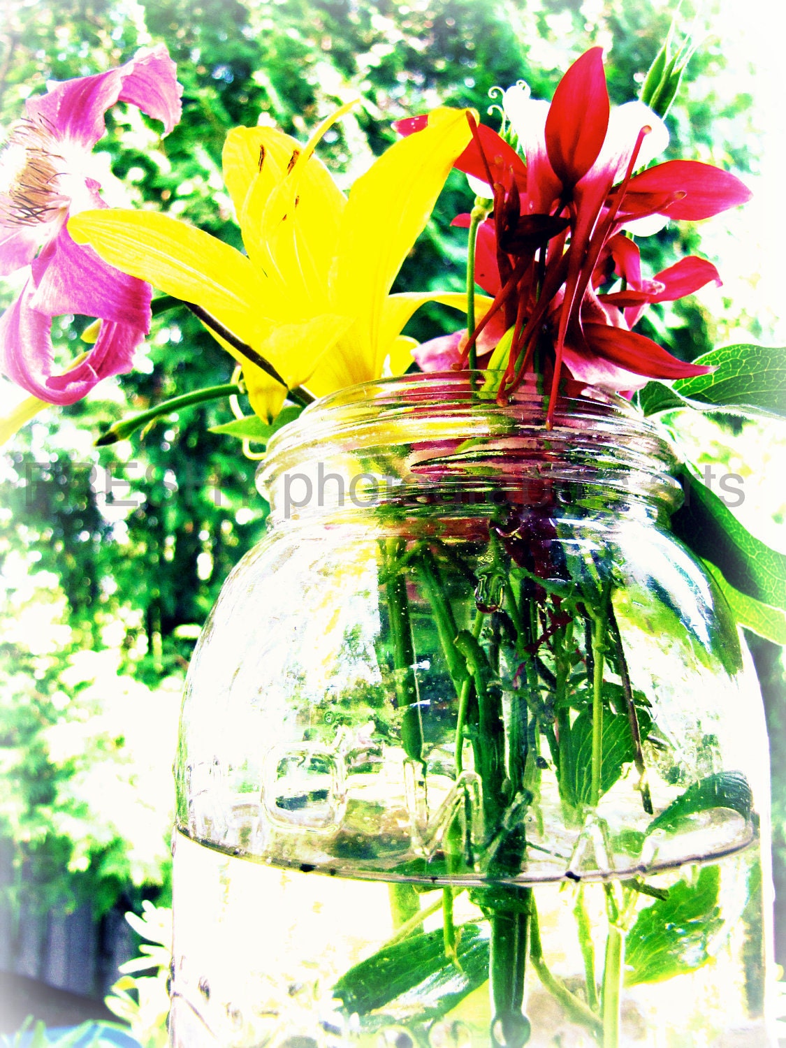 Mason Jar - 8x10 Photographic Art Print