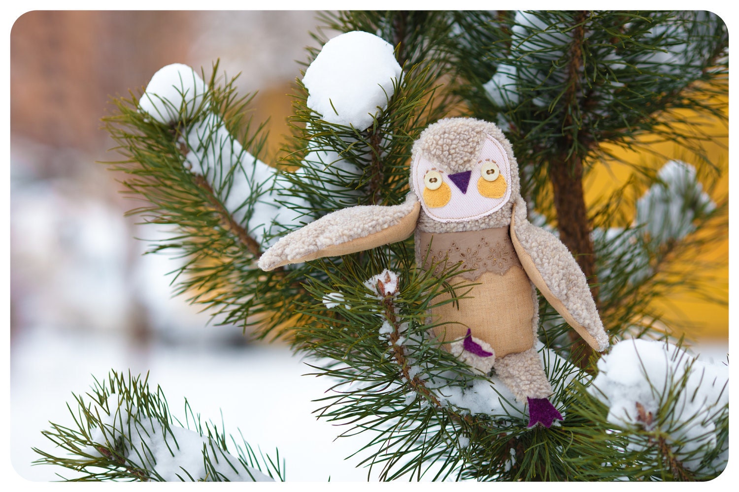 Sofie the owl