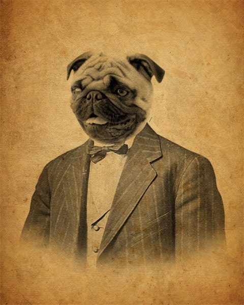 Pug in a Suit Portrait 8x10 Art Print