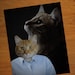 1980s Portrait Studio Cat 8x10 Art Print