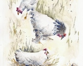 Three Chickens, Print of watercolor 6"x8.5"