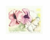 Petunias Up Close, a 5"x7" print of a watercolor with three Petunias, printed on 8"x10" paper