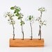 Wood Vase Decorative Bud Vase Wedding Vase FLORENCE