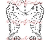 Sea Horse Love