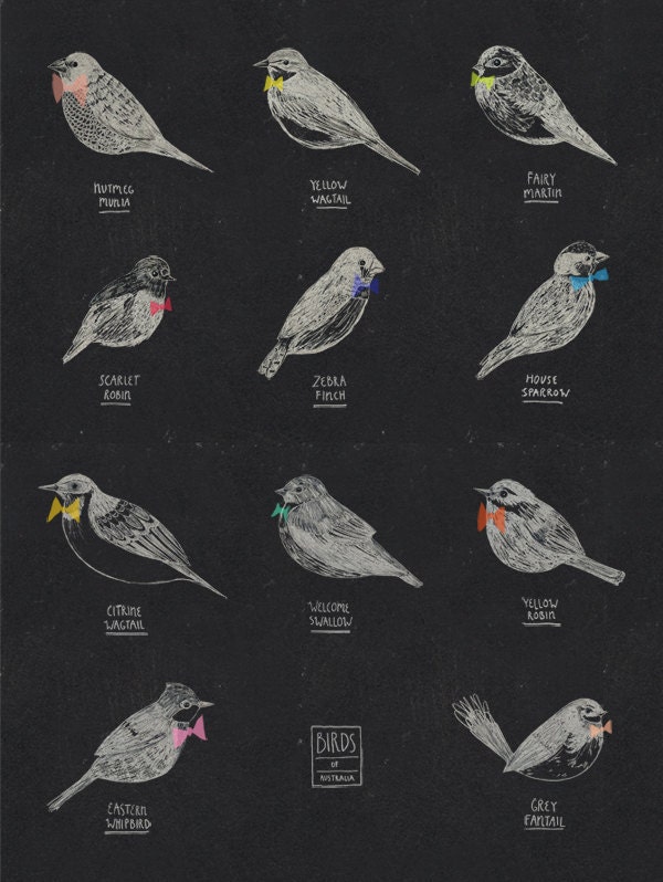 BIRDS OF AUSTRALIA