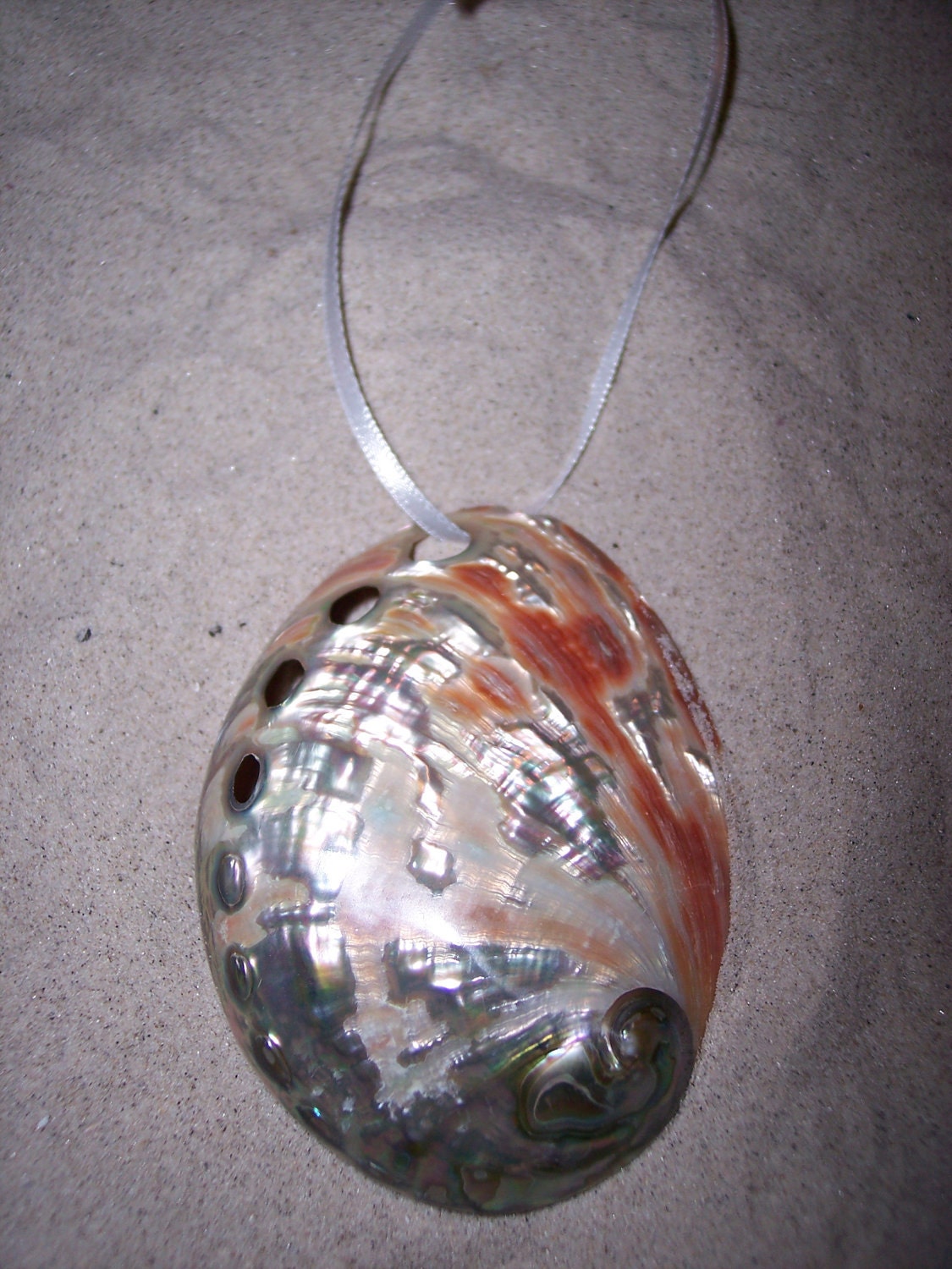 Coastal Ornaments- Polished Red Abalone Shell Ornament-Great for Christmas, Beach Weddings, and Sea Inspired Decorating