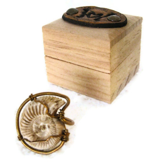SALE Fossil Shell Ring Wire Wrap with FREE Gift Box Karen Kell Collection