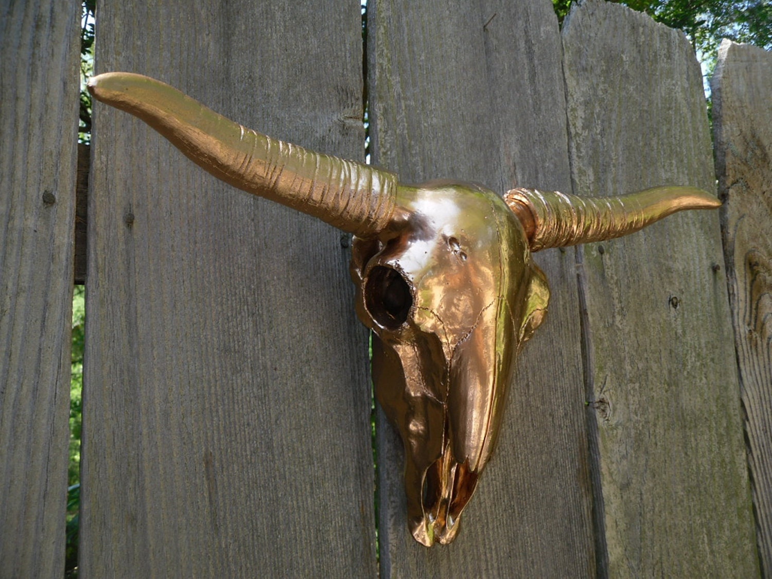Faux taxidermy / Wall Mount Skull / Copper Long Horn Skull with Horns