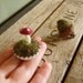 Felted red amanita mushroom in a white bottlecap