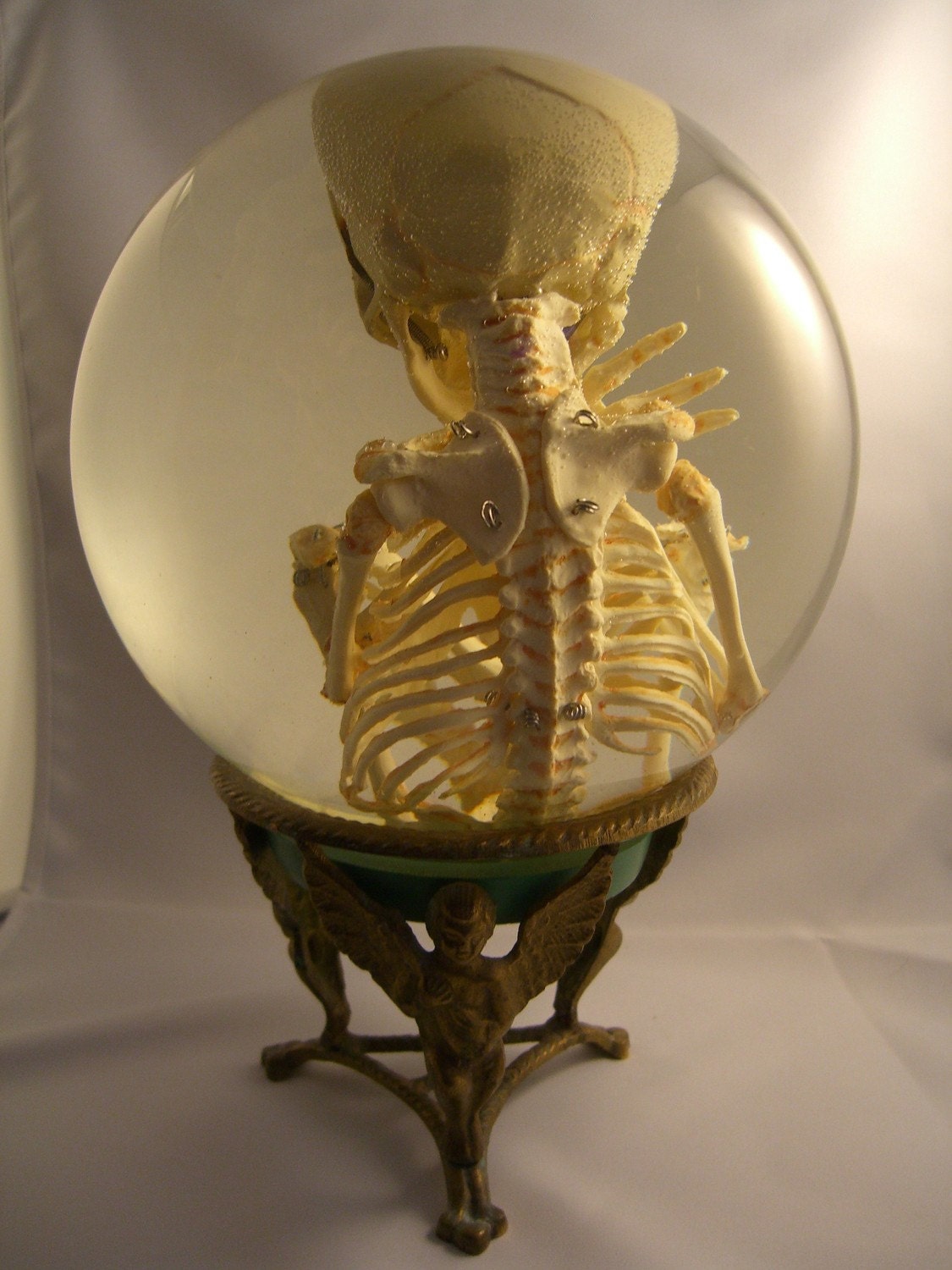 Human Fetal Skeleton in Glass Womb on Vintage Metal Stand
