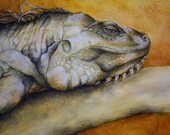 Original Drawing - Darwin's Iguana in Charcoal on Rich Orange Watercolor Ground