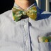 bow tie 020