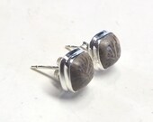 Square Fossil Coral Post Earrings