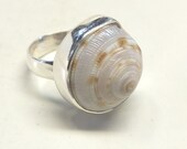 Orange and White Sea Shell and Sterling Silver Ring---Size 7