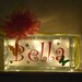 Girls glass block night light- butterflies/daisies