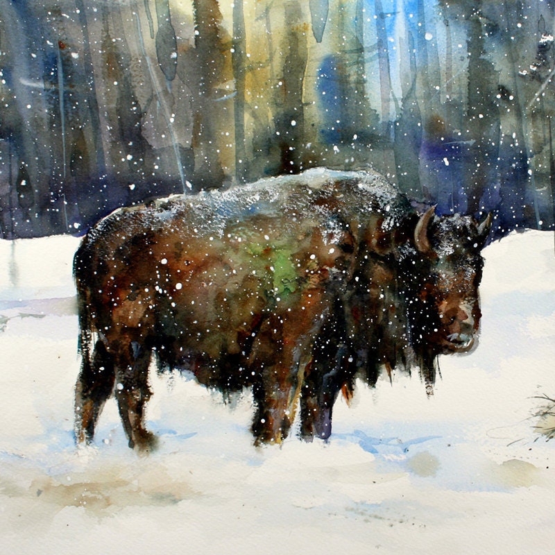 WINTER BISON Buffalo Watercolor Print by Dean Crouser