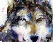 WOLF Large Watercolor Print by Dean Crouser