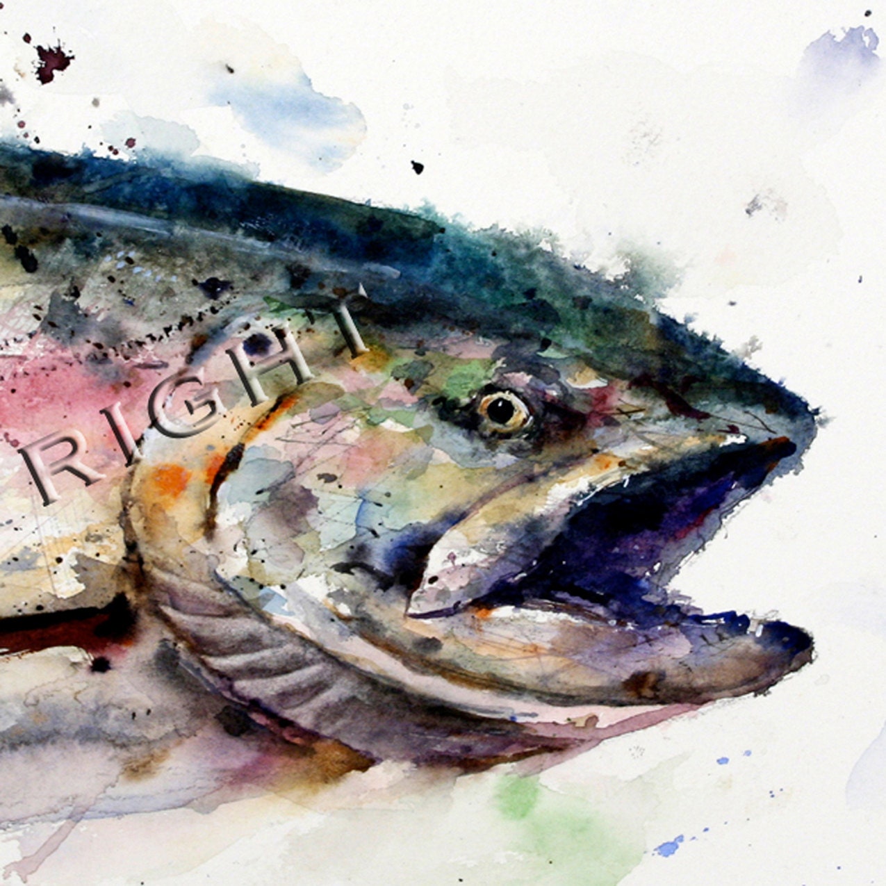 Items similar to ABSTRACT SALMON Watercolor Fish Print By Dean Crouser
