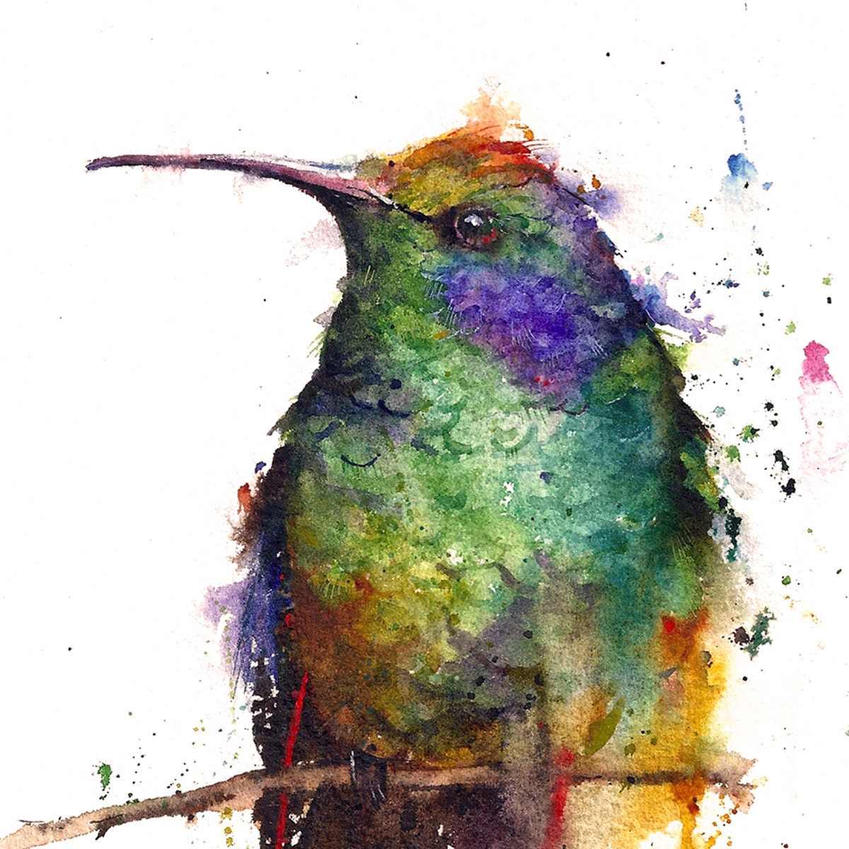 HUMMINGBIRD Original Watercolor Painting By Dean Crouser