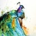 PEACOCK Watercolor Print by Dean Crouser