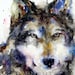 WOLF Large Watercolor Print by Dean Crouser