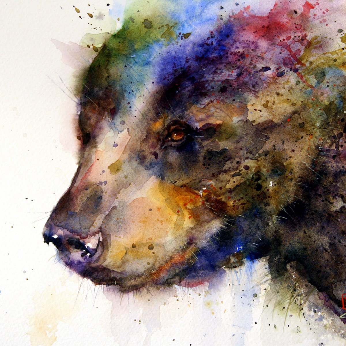 BLACK BEAR Watercolor Print By Dean Crouser