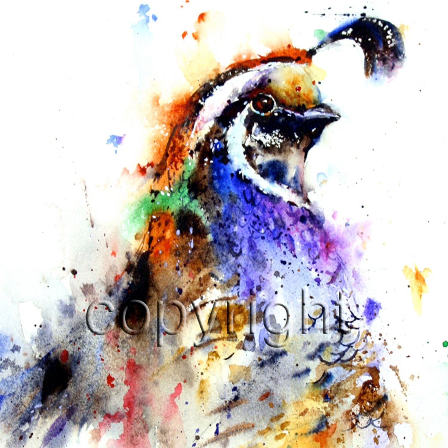 QUAIL Watercolor Print by Dean Crouser by DeanCrouserArt on Etsy