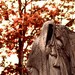 Paris Photography - Halloween - Gothic Home Decor - Cemetery Print - Paris France - 16x20 Photo - Red Leaves - Haunting Romantic