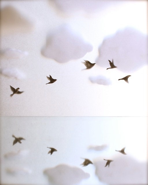 Ring of Starlings
