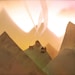 On that small hilltop in the mountains, their lives were intertwined.
