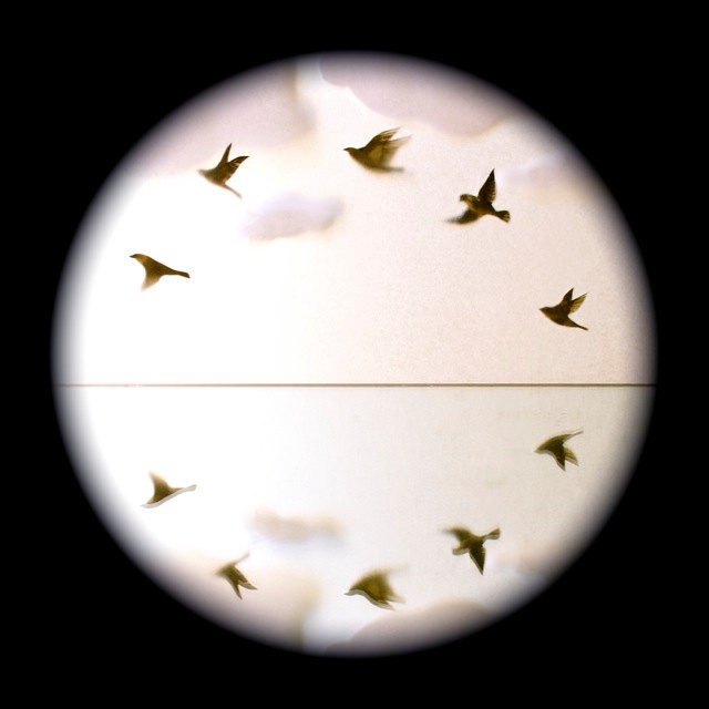 Ring of Starlings