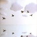 Ring of Starlings