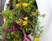 4 Living Wall framed succulent planters Bring the garden inside
